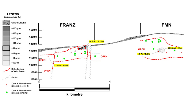 Long Section of Vein Zone 1: FMN & Franz