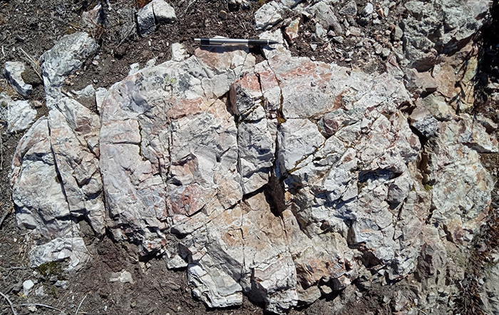 Franz Zone: New Outcrop Discovery