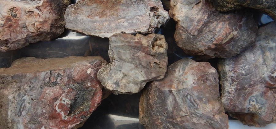 AGATE SHOWING