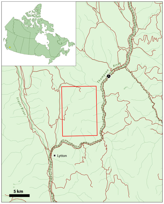 Skoonka Property Location
