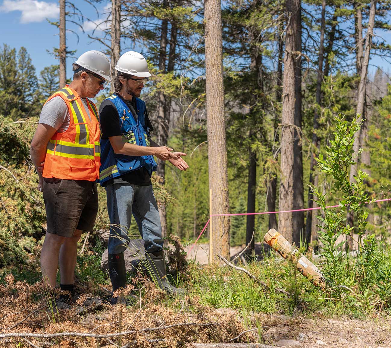 Project Timeline 2015